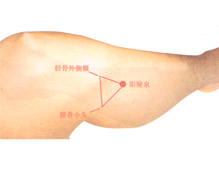 阳棱泉.gif