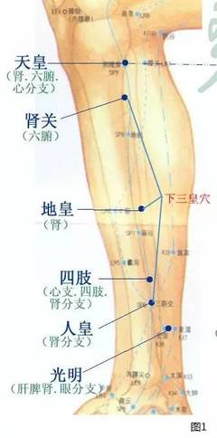 肾关穴、天皇穴、地皇穴、四肢穴、人皇穴、光明穴.jpg
