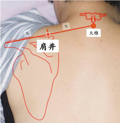肩井穴、大椎穴.jpg