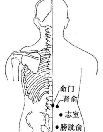 命门.jpg