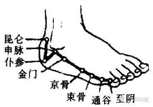 至阴穴.jpg