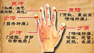少泽.jpg