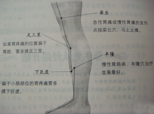 丰隆穴.jpg