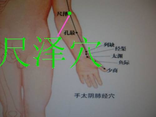 肩尺泽.jpg