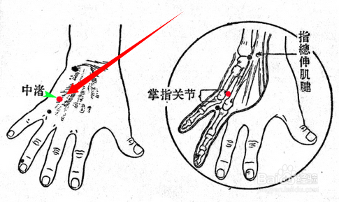 腕中禇.png