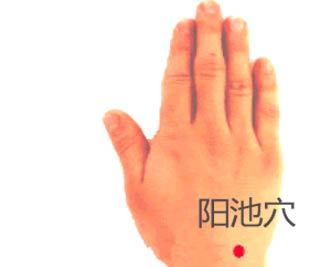 阳池.jpg