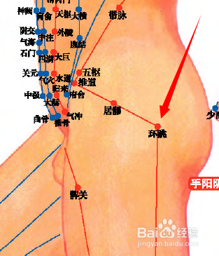 环跳穴2.png