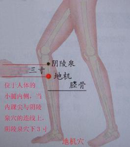 阴陵泉.jpg