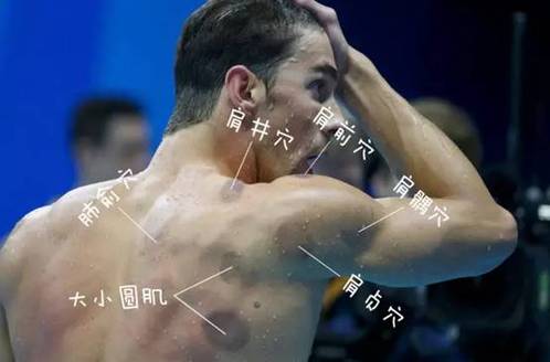 肩贞.jpg