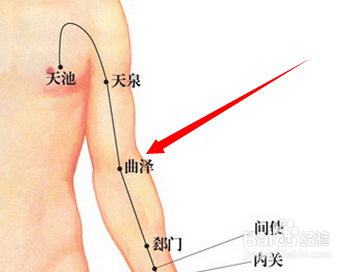 曲泽穴.png