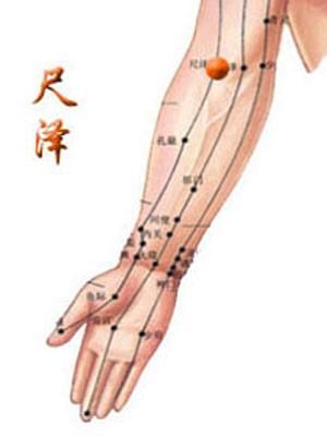 尺泽.jpg