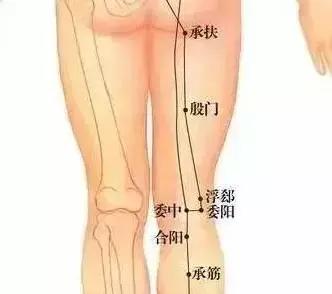 委阳.jpg
