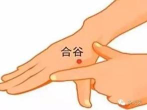 合谷穴.jpg