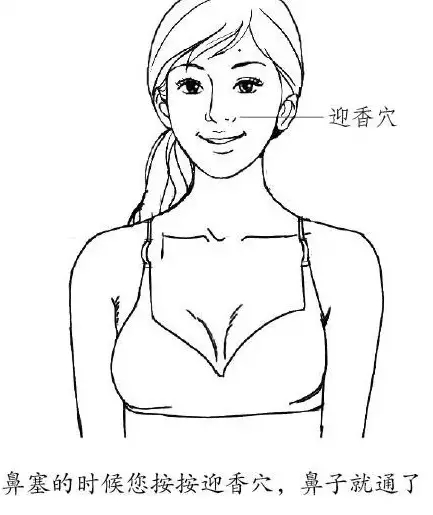 迎香穴.webp.jpg