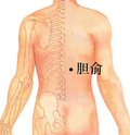 60.jpg胆俞穴.jpg