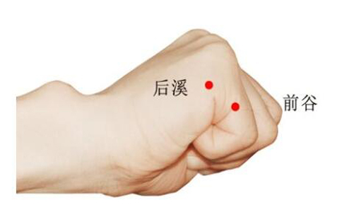 412_153154_1.jpg后溪穴和前谷穴.jpg